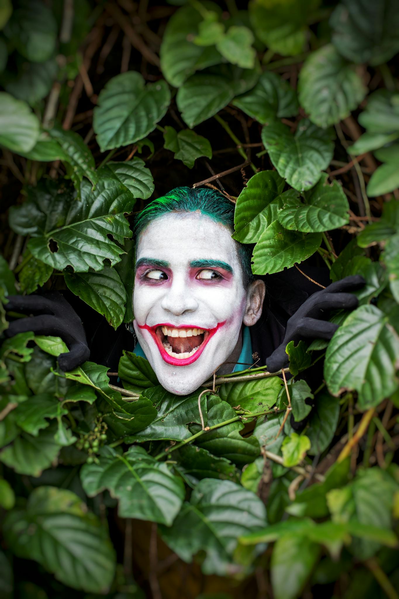 Smiling face painted like Joker amidst lush green leaves, outdoors.